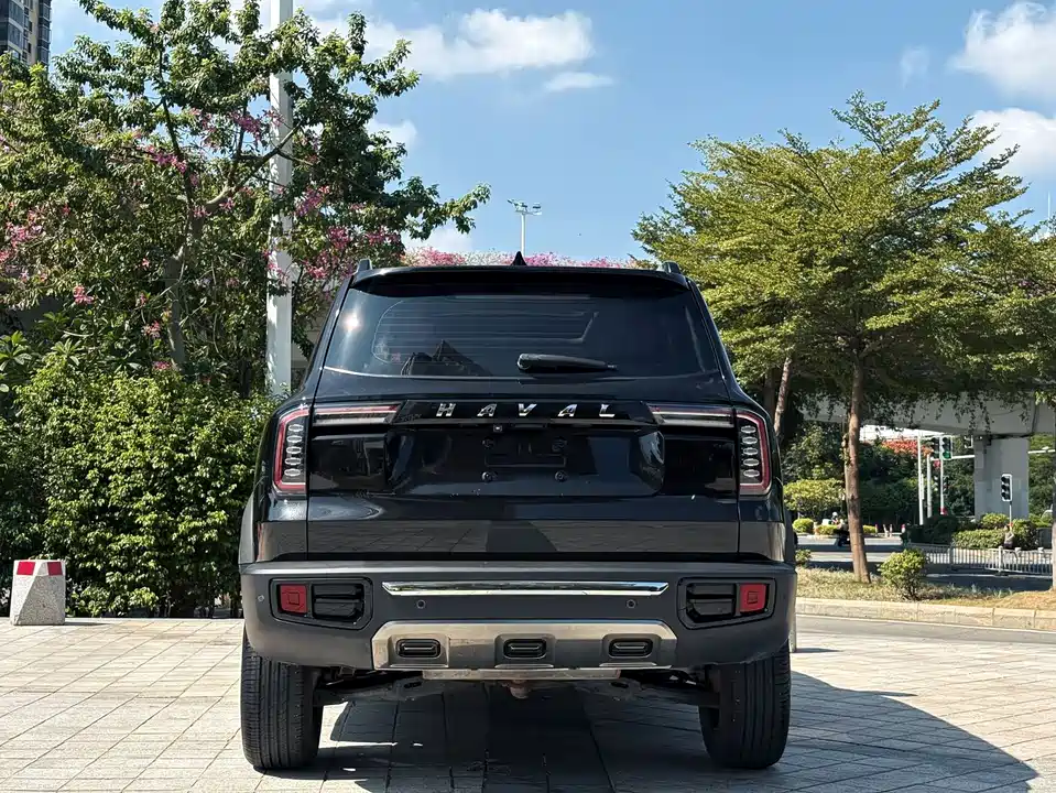 Haval Big dog
