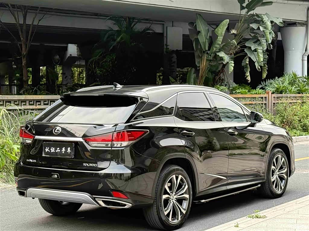 Lexus RX, 2021 все фото