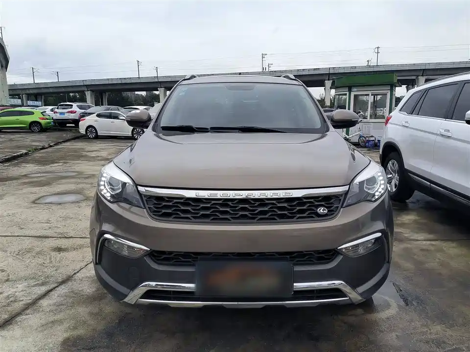 Leopaard Cheetah CS10