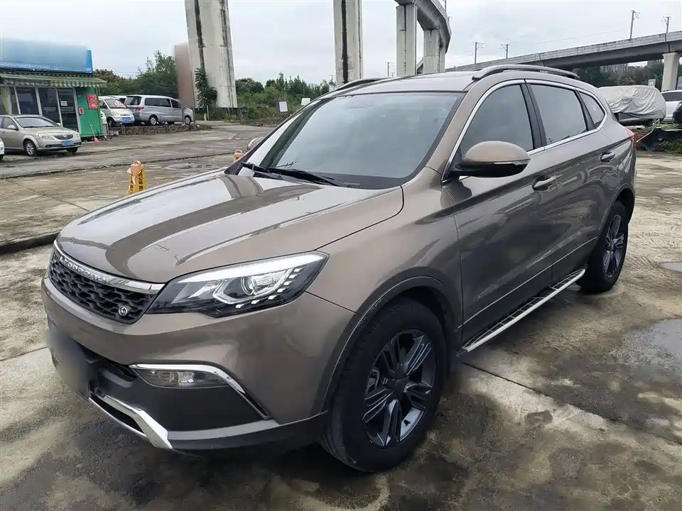 Leopaard Cheetah CS10