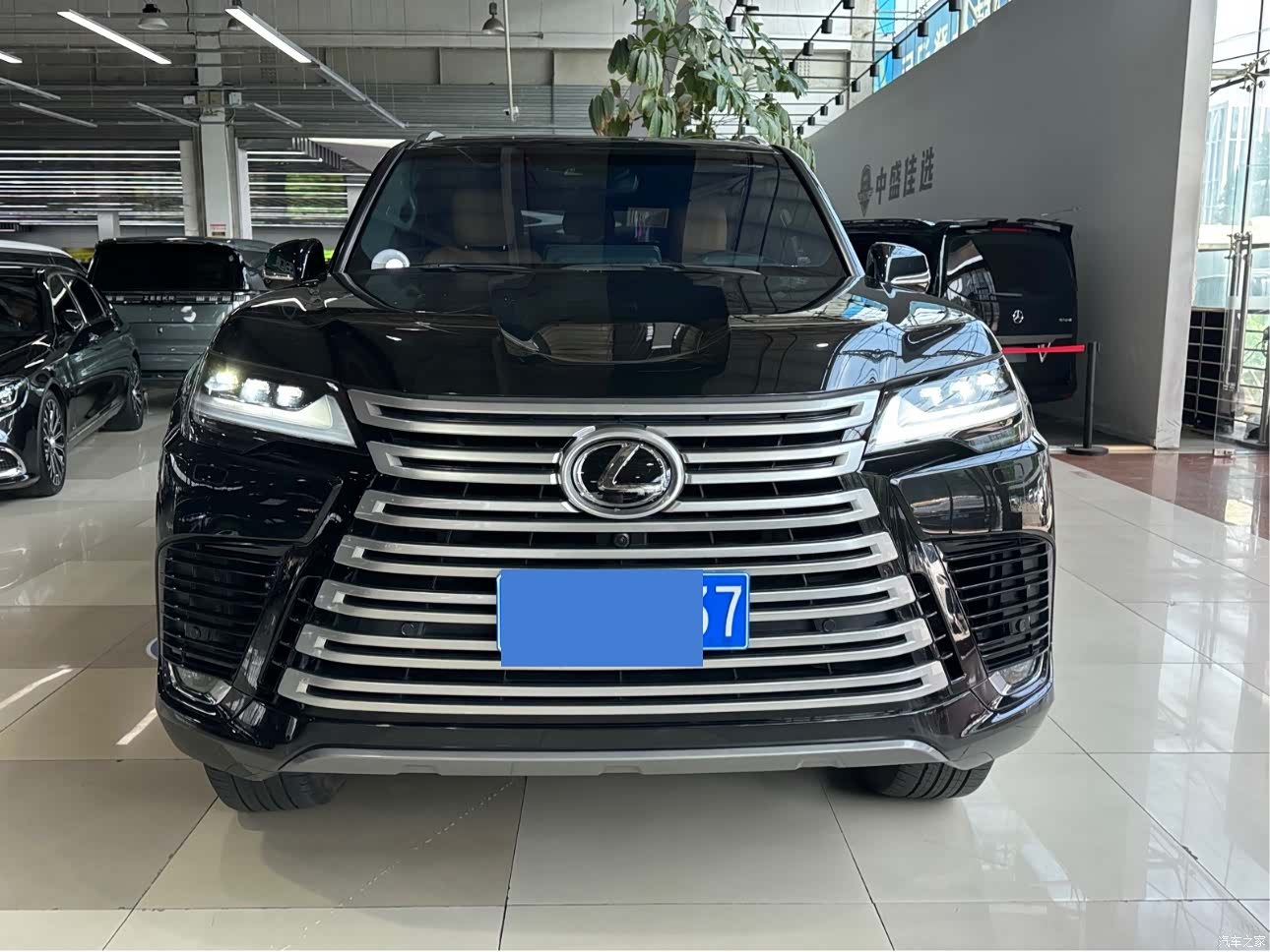 Lexus LX, 2024 2