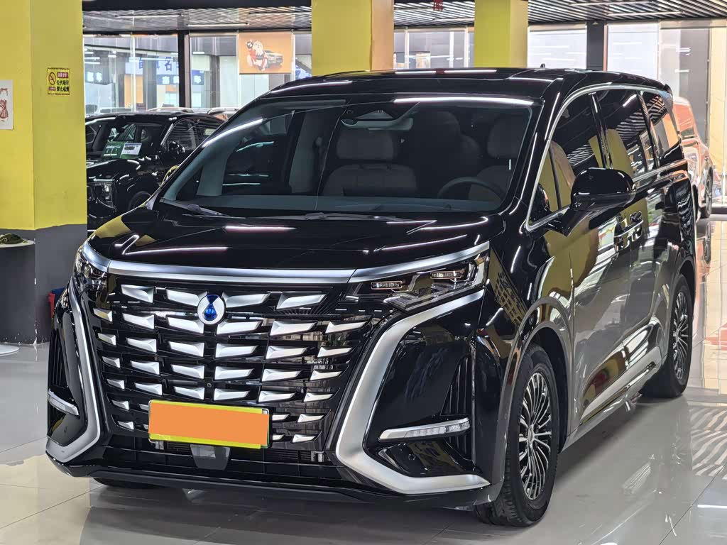 Denza D9