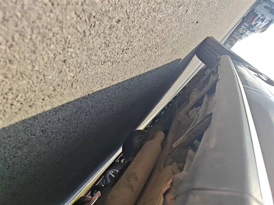 Leopaard Cheetah CS10