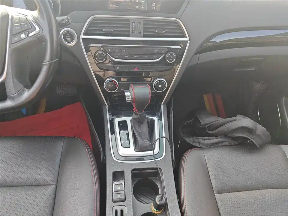 Leopaard Cheetah CS10