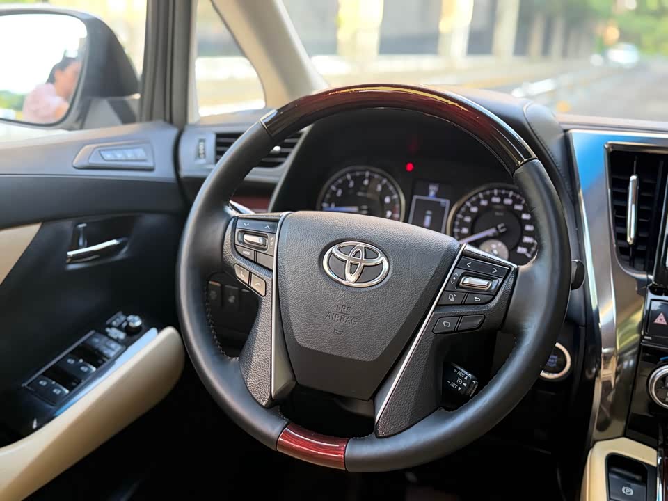 Toyota Elfa