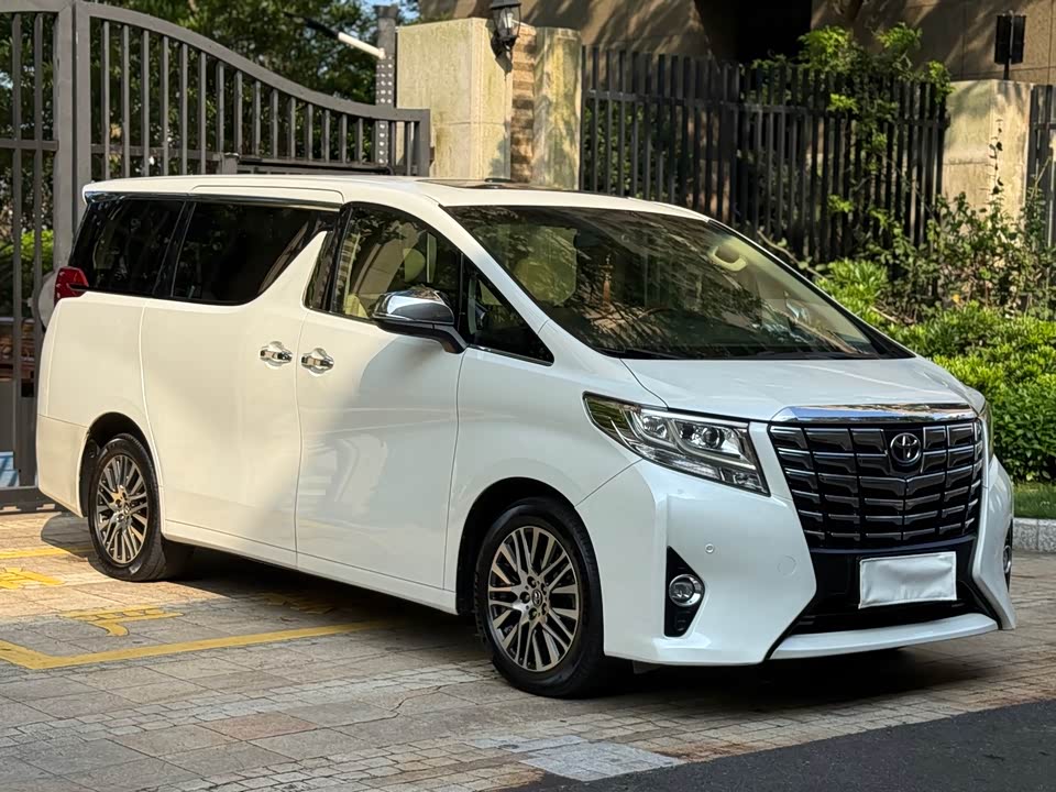 Toyota Elfa