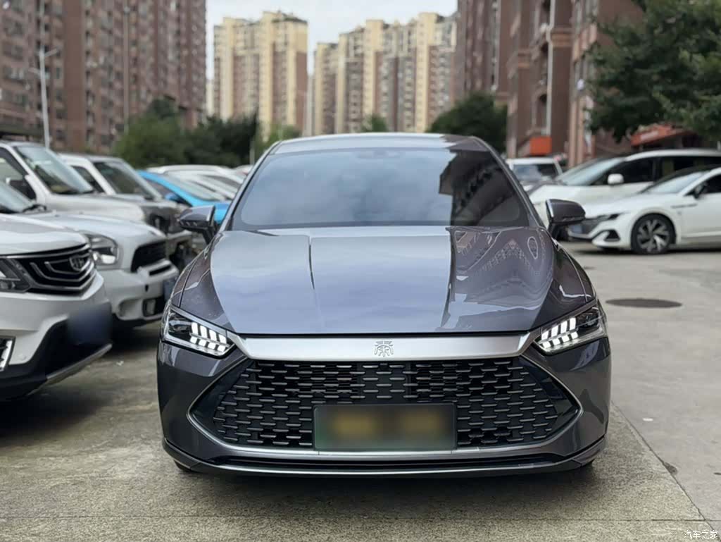 BYD Qin, 2024 25