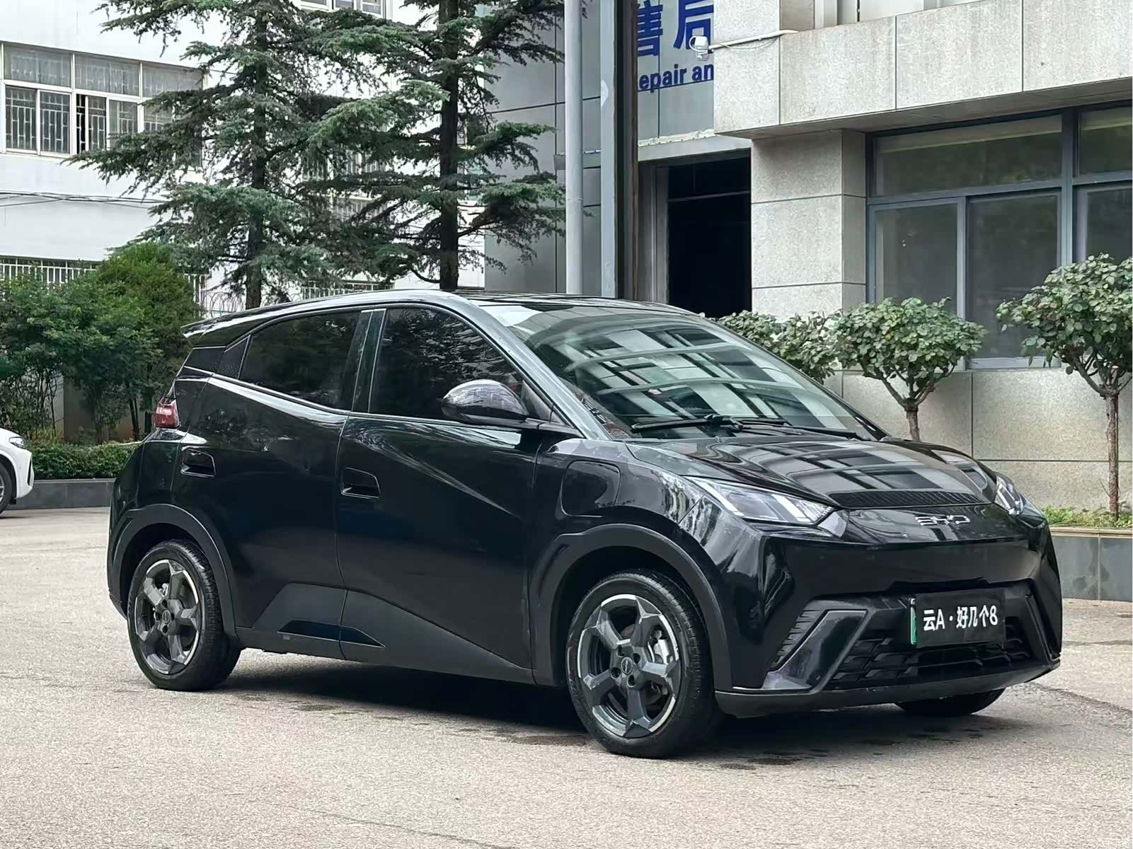 BYD Seagull, 2023 3