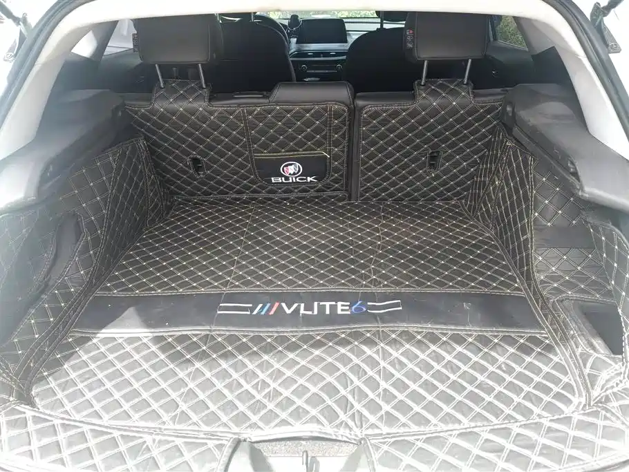 Buick Slightly blue 6