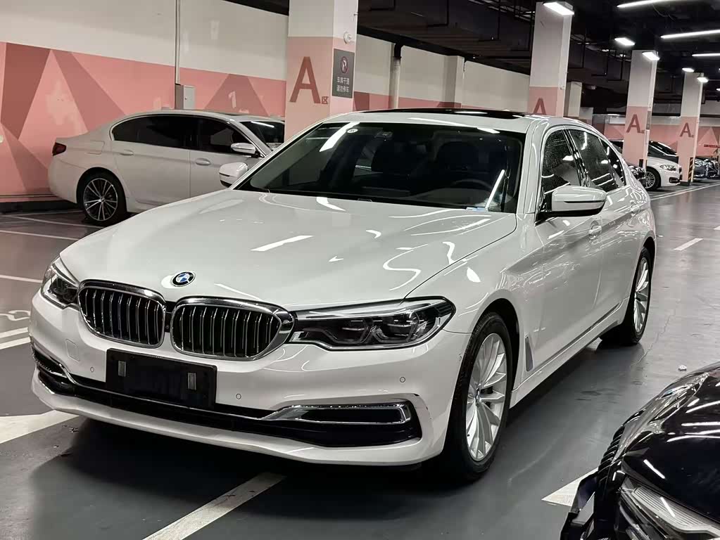 BMW 5 Series 5 2020 530Li Premium Luxury