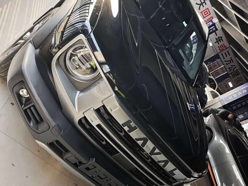 Haval Big dog