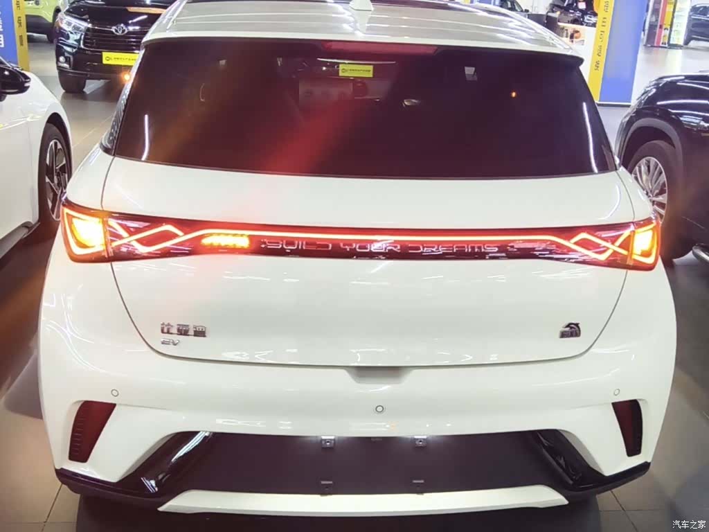BYD Dolphin, 2023 6
