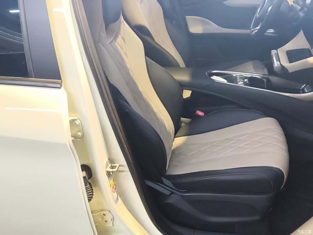 BYD Dolphin, 2023 25