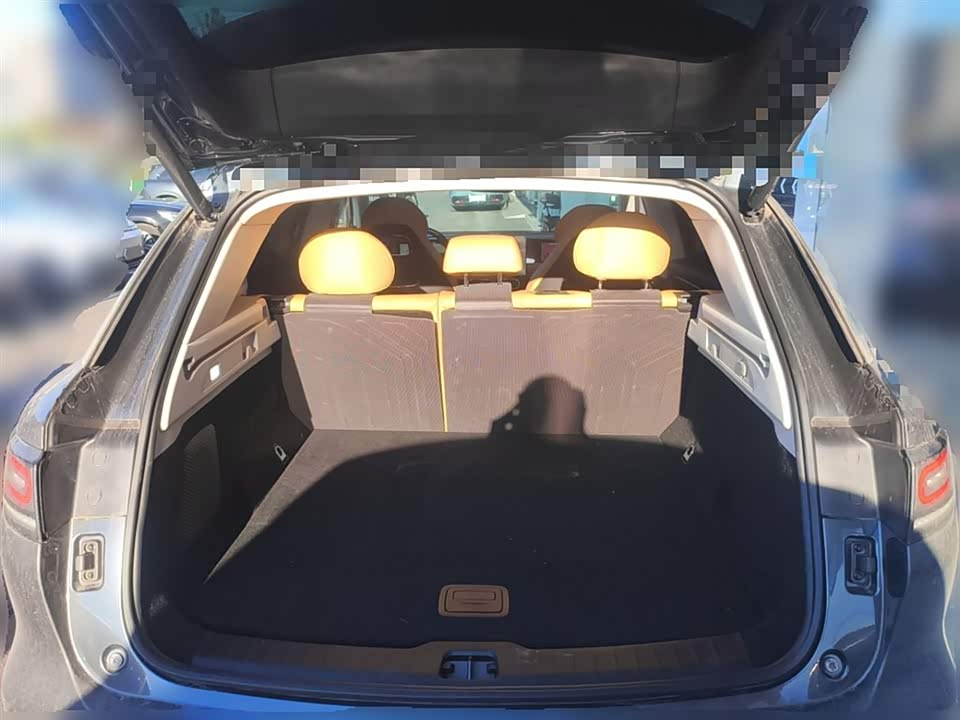 Leapmotor C11 Leapmotor C11