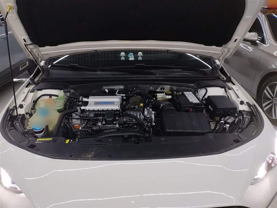 Trumpchi Shadow Leopard