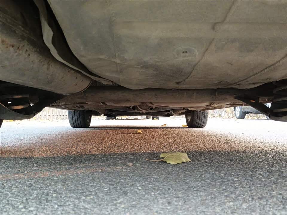 Volkswagen C-TREK Wei Collar