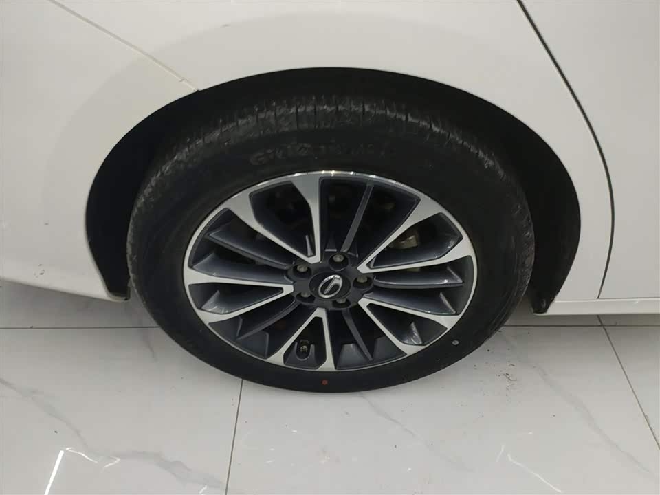 Trumpchi Shadow Leopard