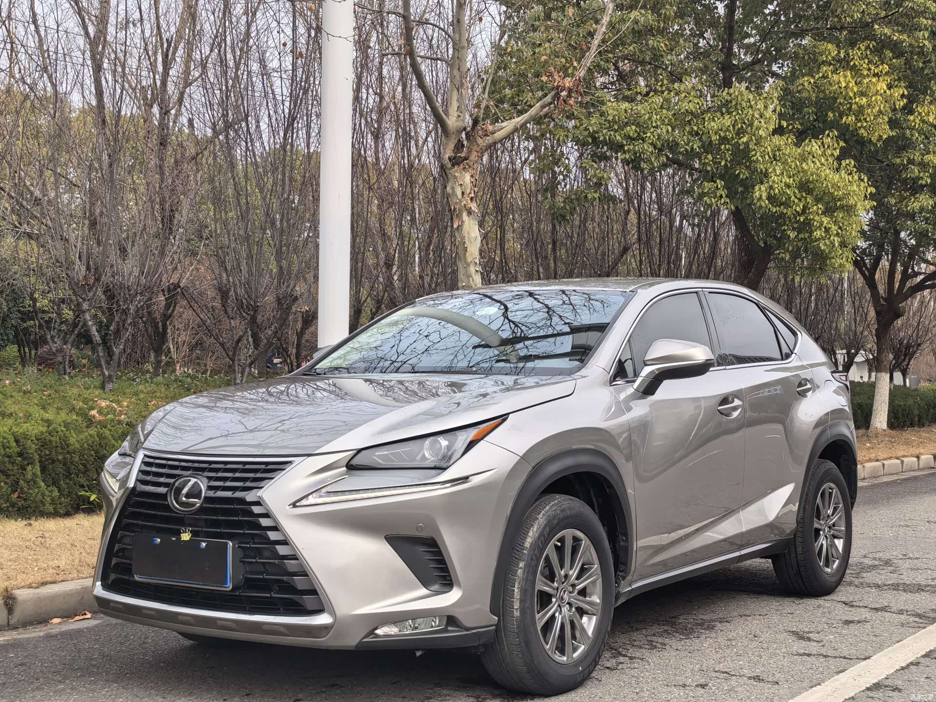 Lexus NX, 2020 1