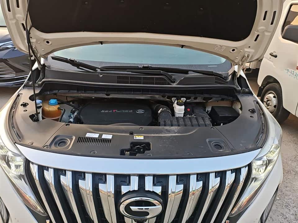 Trumpchi Trumpchi M8