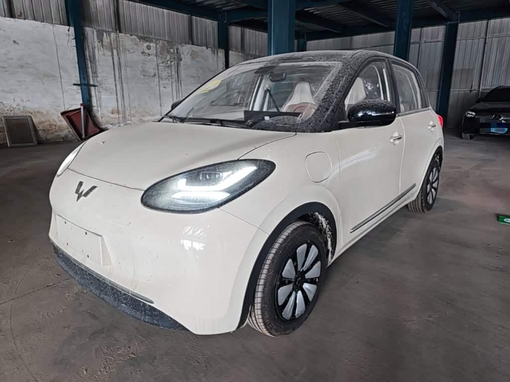 Wuling Binguo