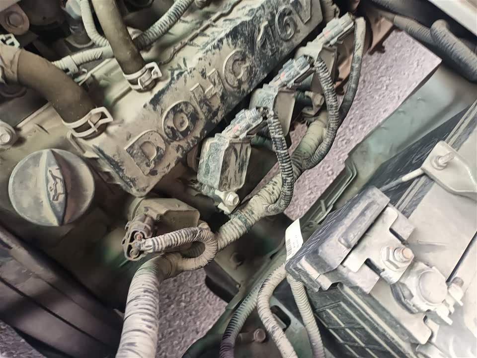 Jinbei New Sea Lion X30L