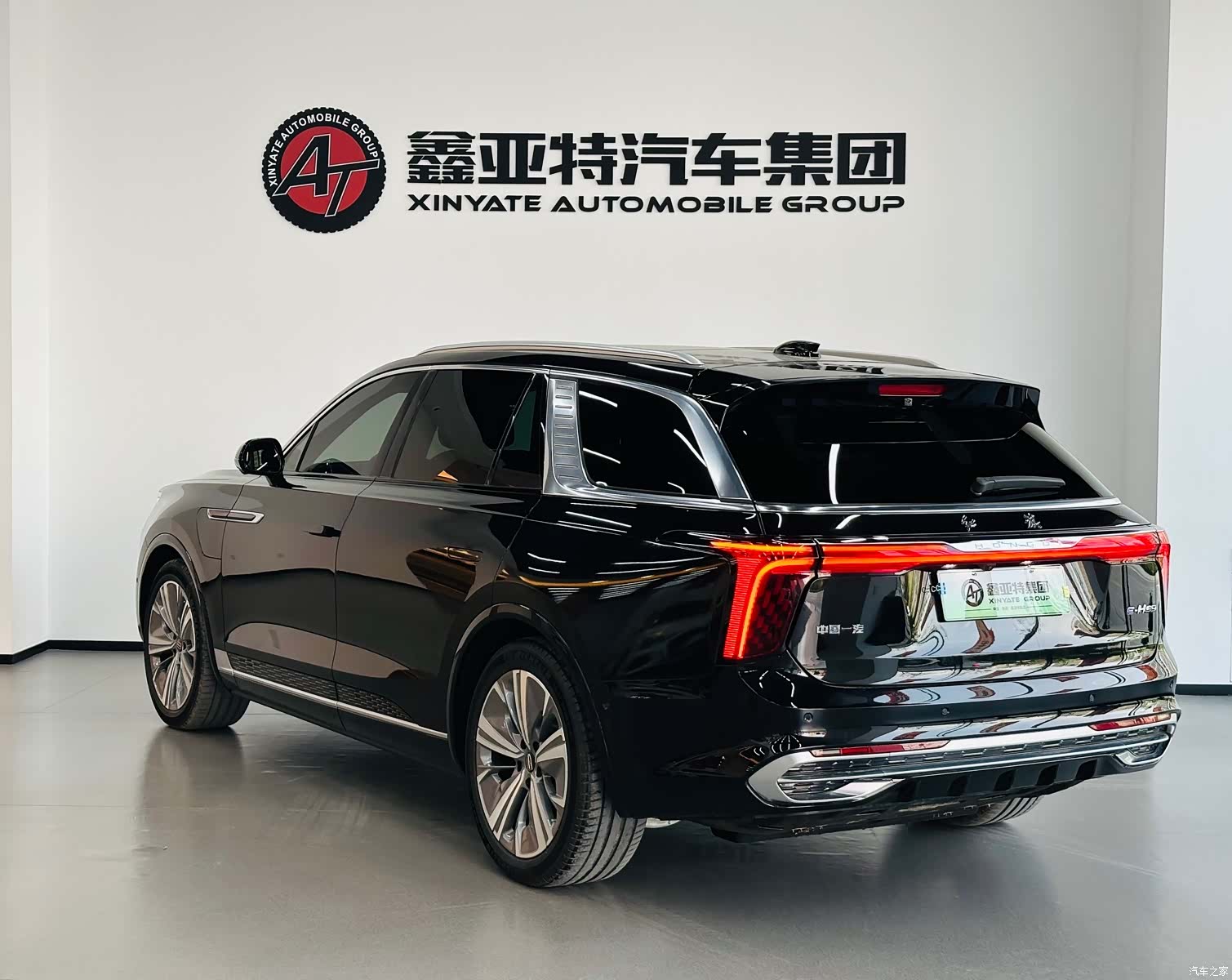 Hongqi E-HS9, 2023 все фото
