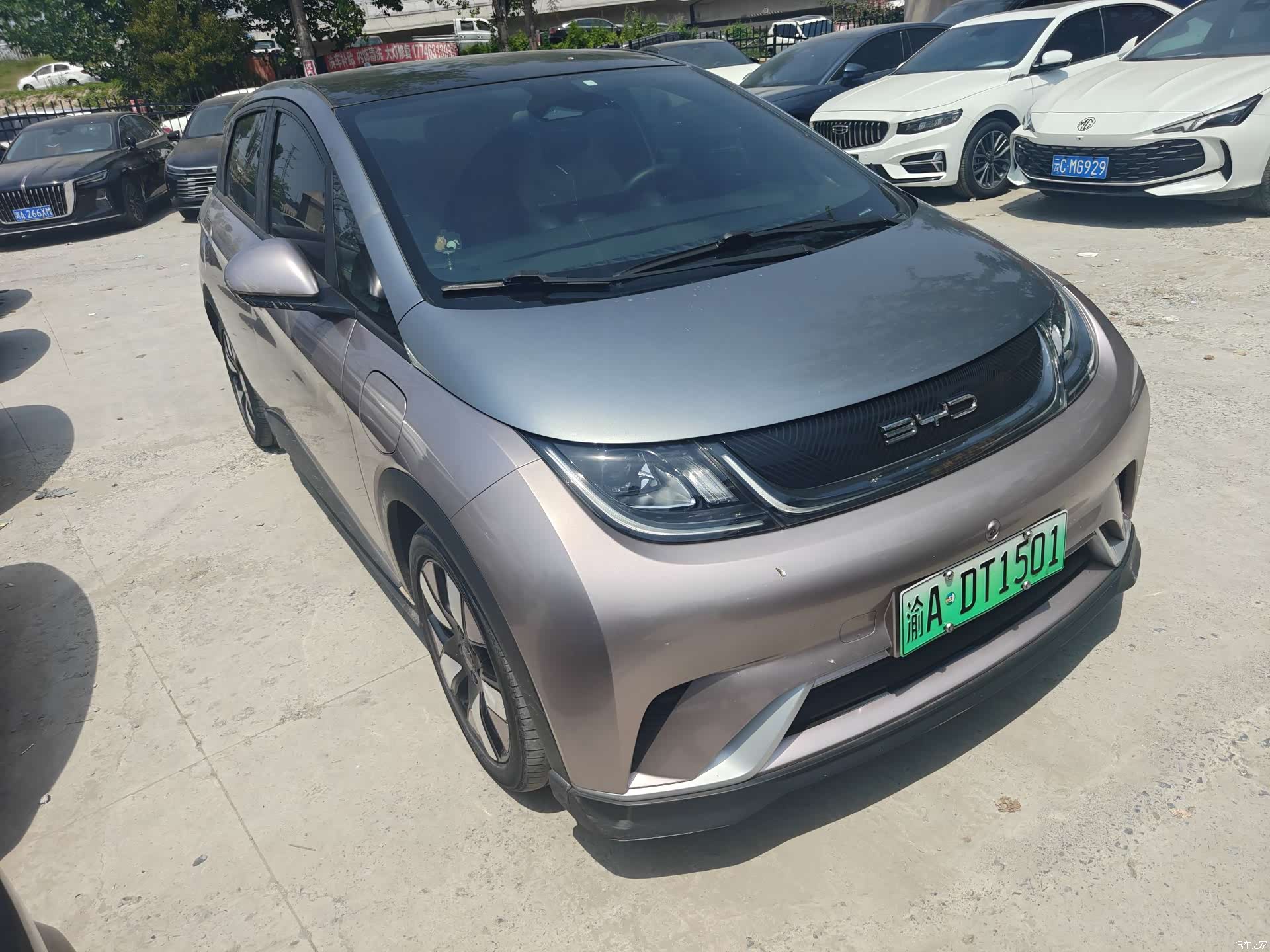 BYD Dolphin, 2022 2