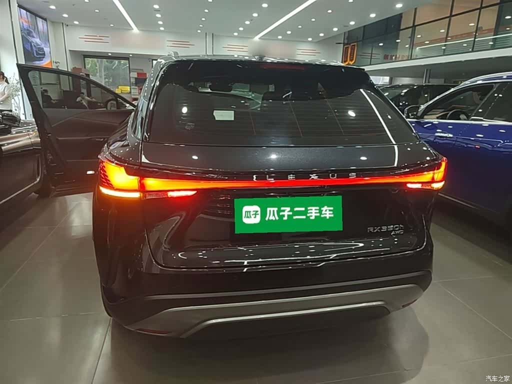 Lexus RX, 2023 6