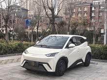 ��Ÿ 2024�� ��ҫ�� 305km ������