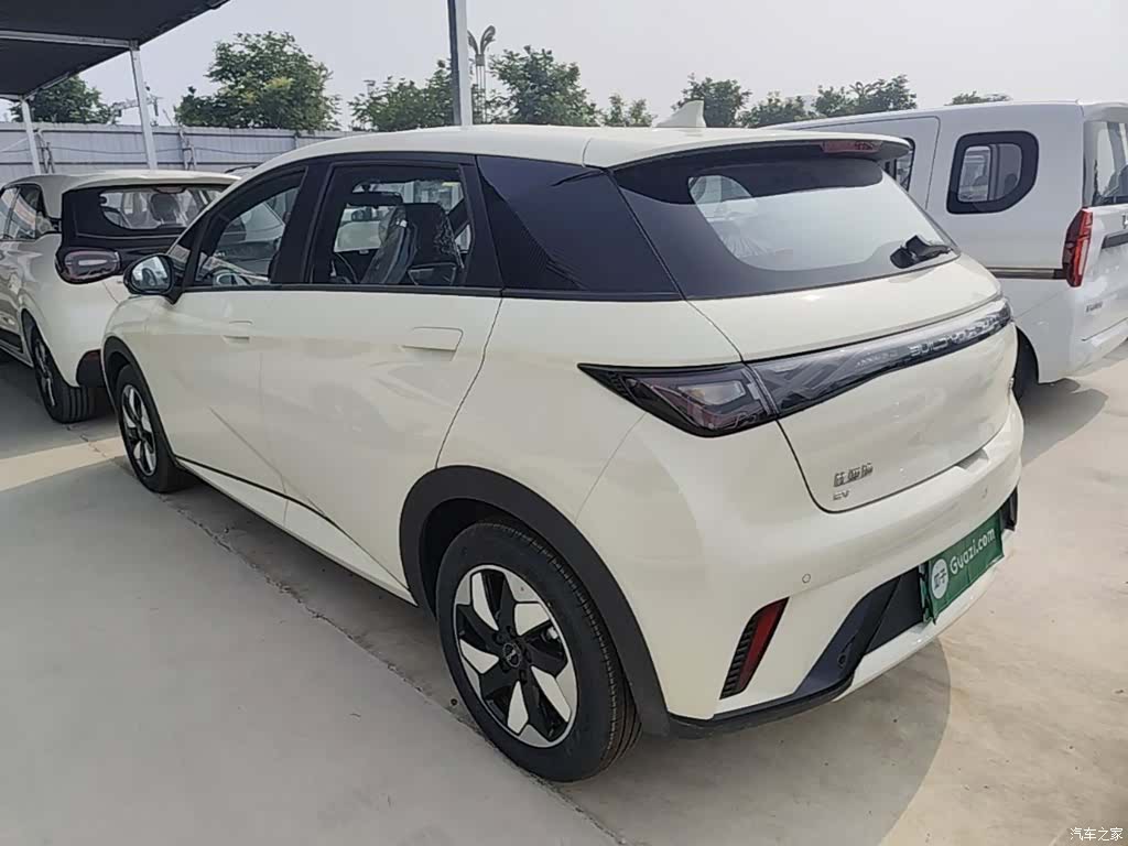 BYD Dolphin, 2026 все фото