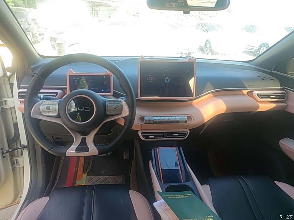 BYD Seagull, 2024 10