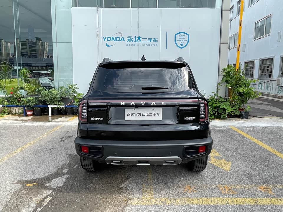 Haval Big dog