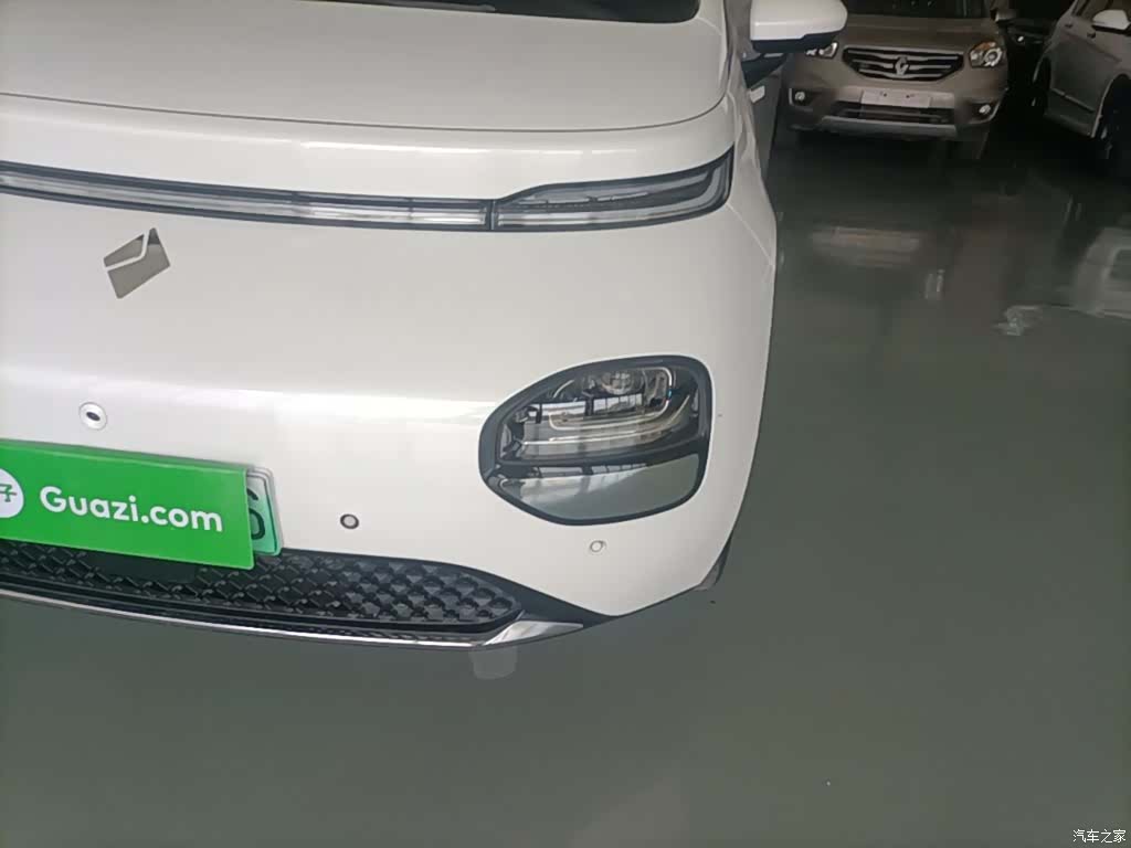 Wuling 460, 2023 24