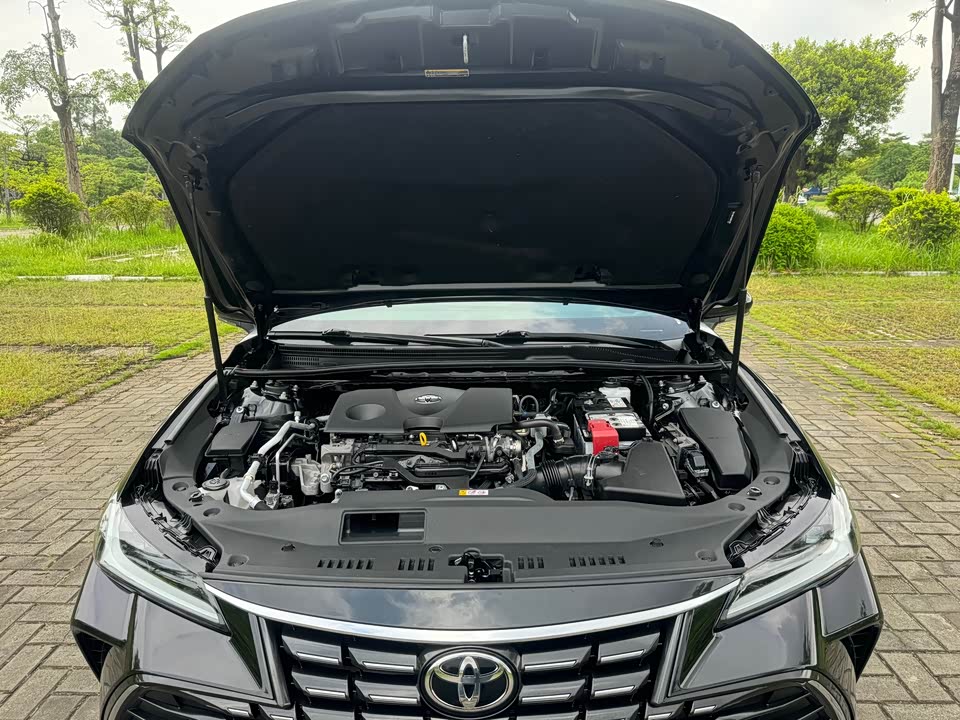 Toyota Asian dragon