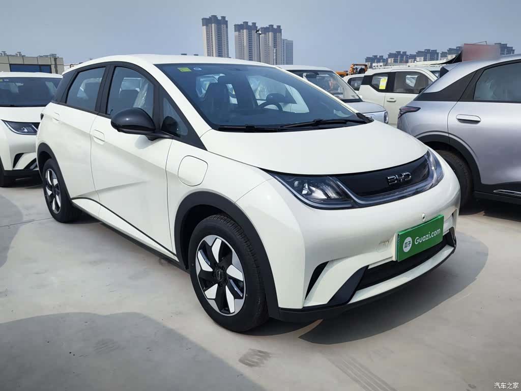 BYD Dolphin, 2026 4