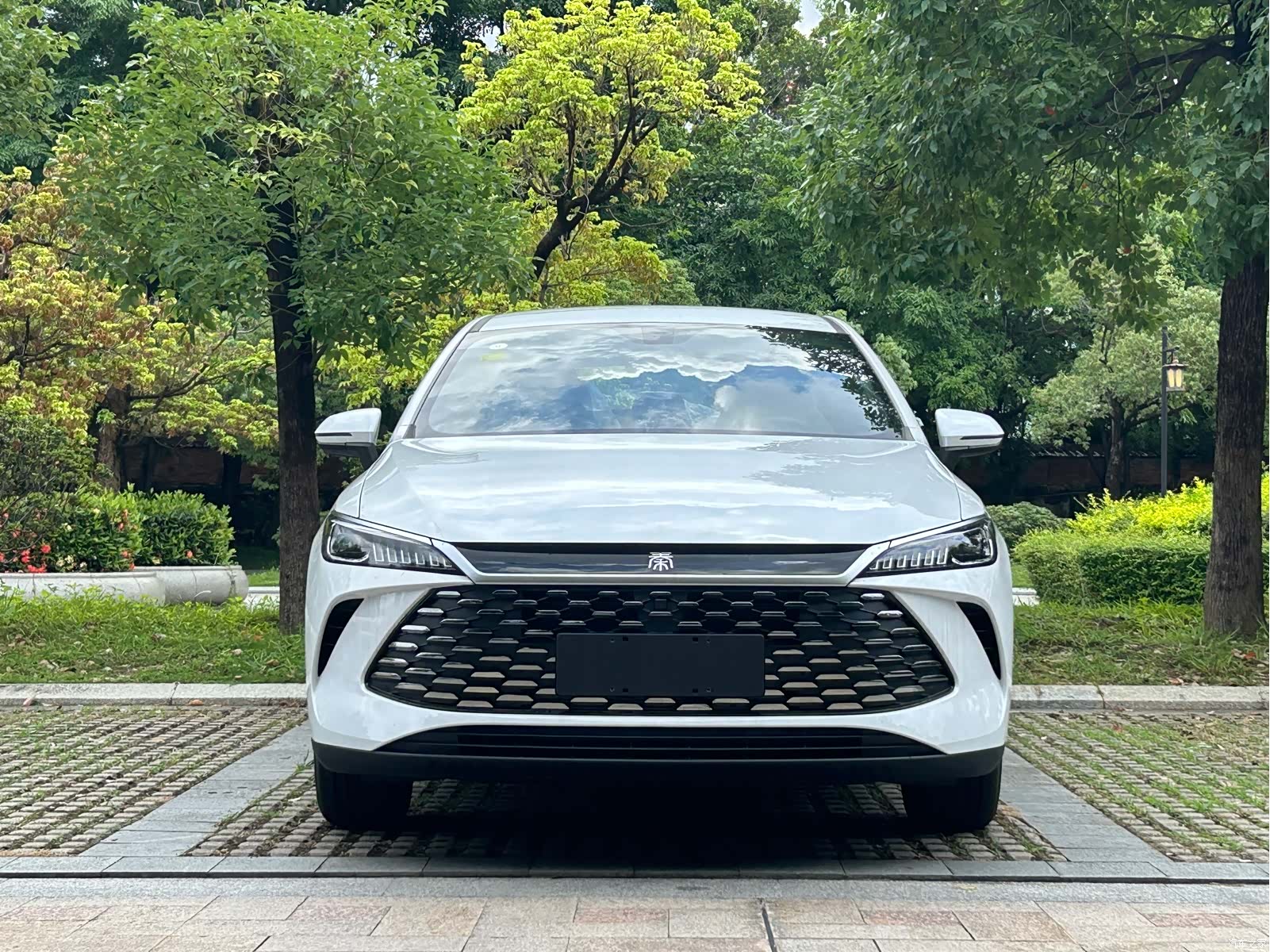 BYD Qin, 2026 2