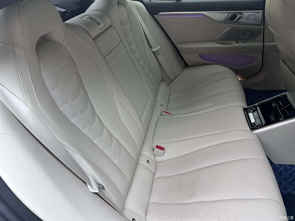 BMW 8 Series, 2020 10
