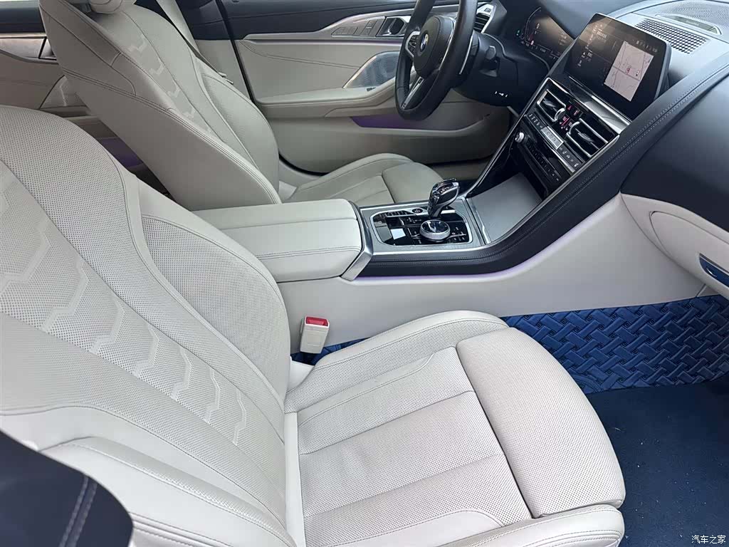 BMW 8 Series, 2020 9