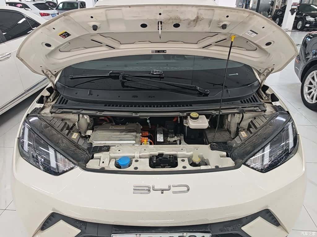 BYD Seagull, 2024 20