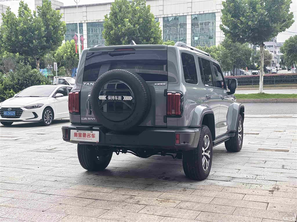 Tank 300, 2022 7