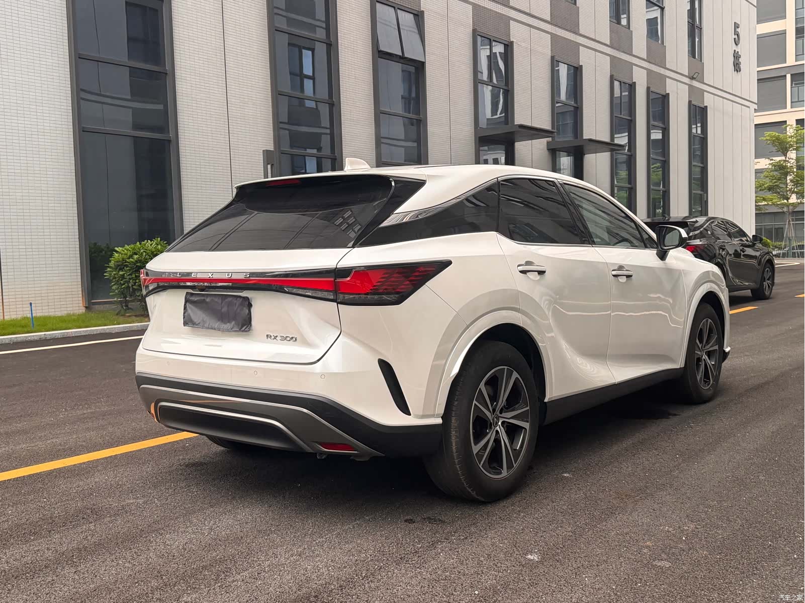 Lexus RX, 2025 9