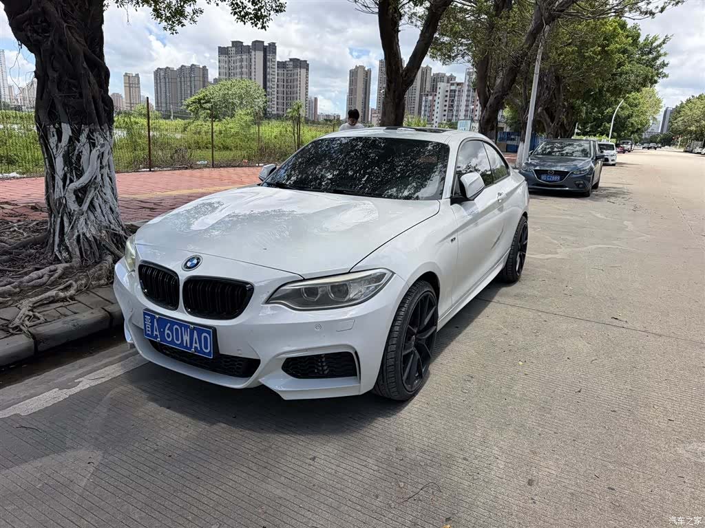 BMW 2 Series, 2014 1