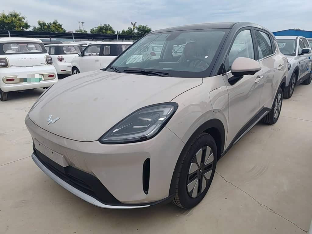 Wuling BinguoS