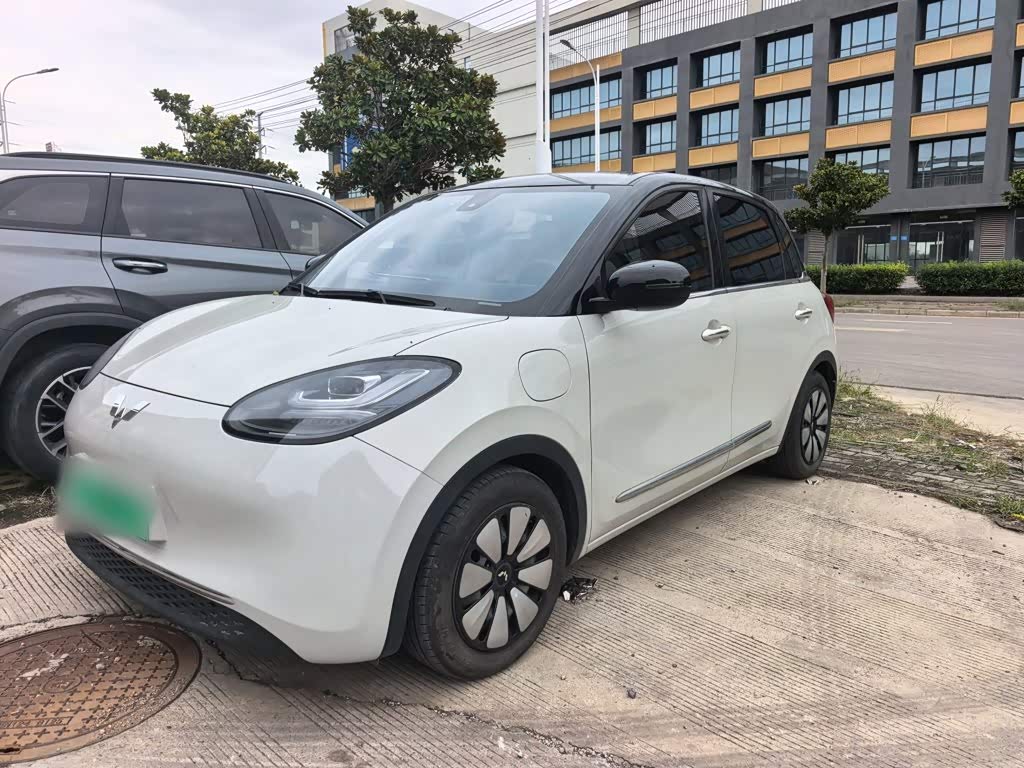 Wuling Binguo 2023 333km