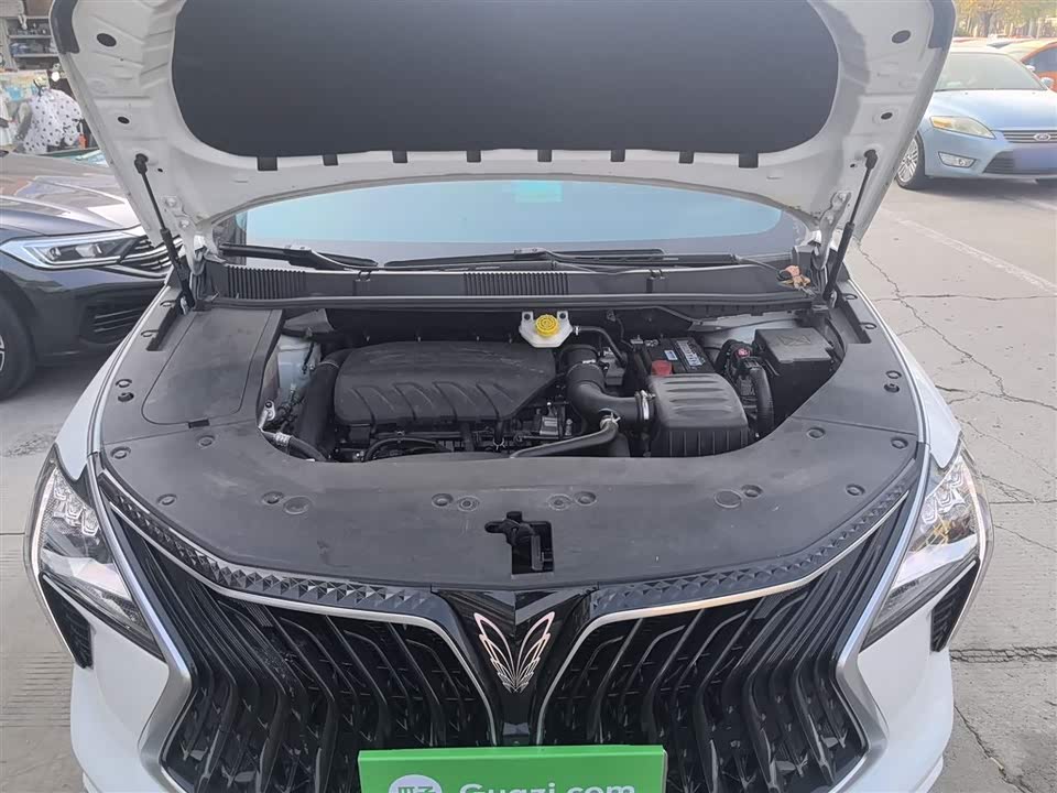 Forthing Popular yachts