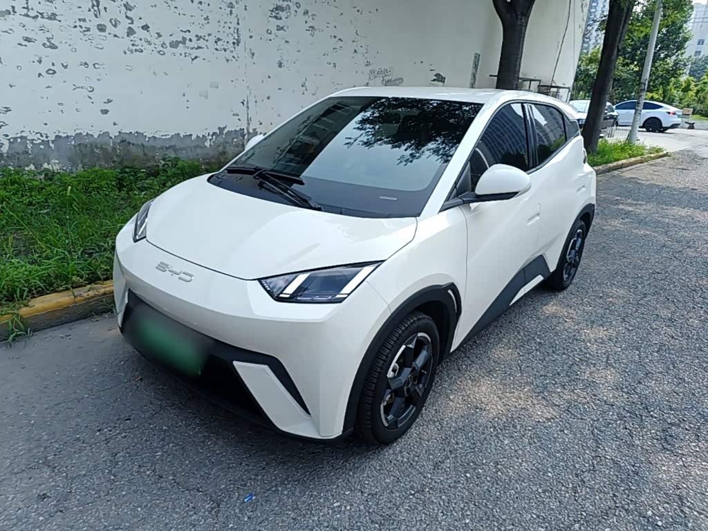 BYD Seagull