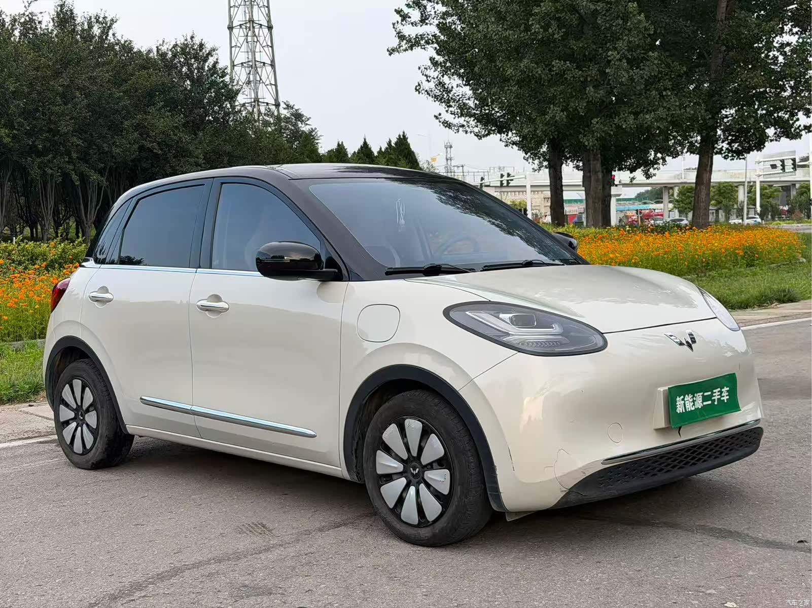 Wuling Bingo, 2024 3
