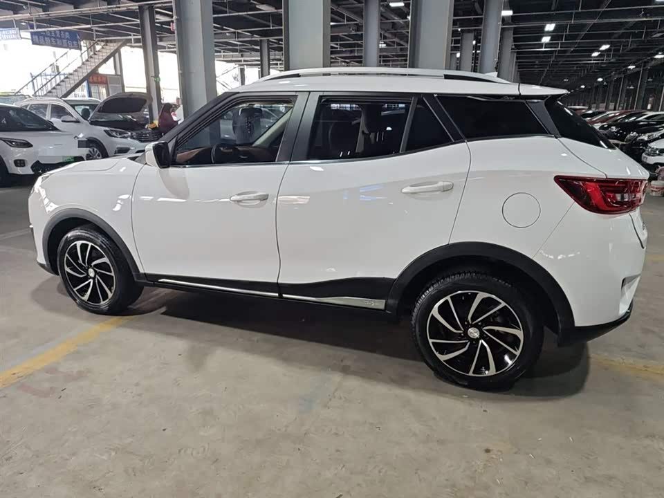 Zotye T300