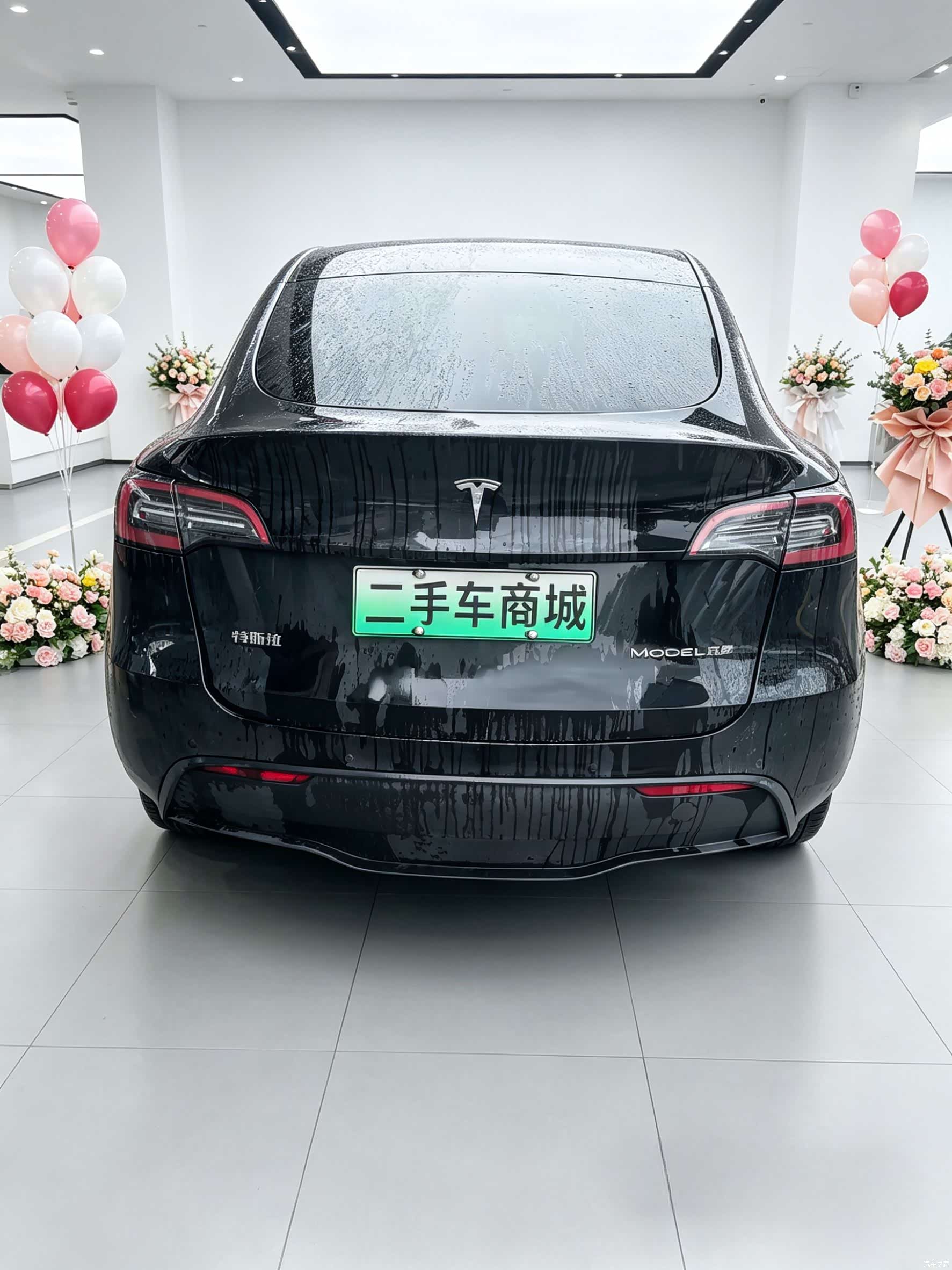 Tesla Model Y, 2022 8