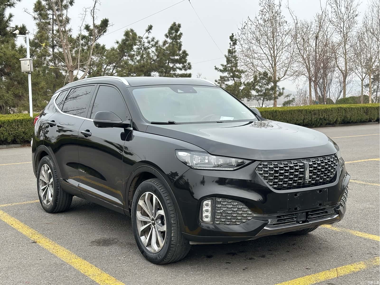 WEY VV6, 2020 1